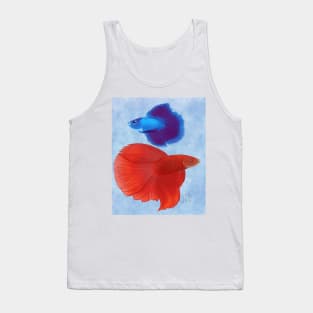 Betta Fish Tank Top